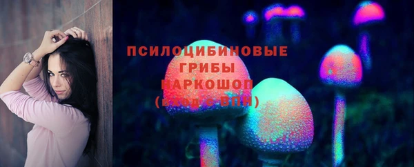 крисы Абаза
