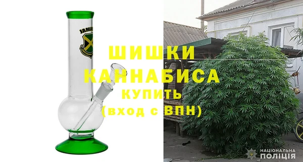 крисы Абаза