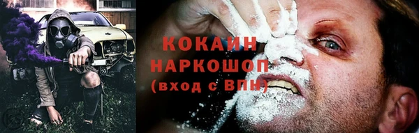 крисы Абаза